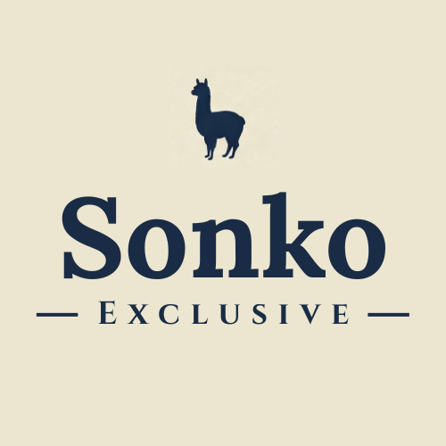 SonkoExclusive_NewLogo_Final_20.06.2025